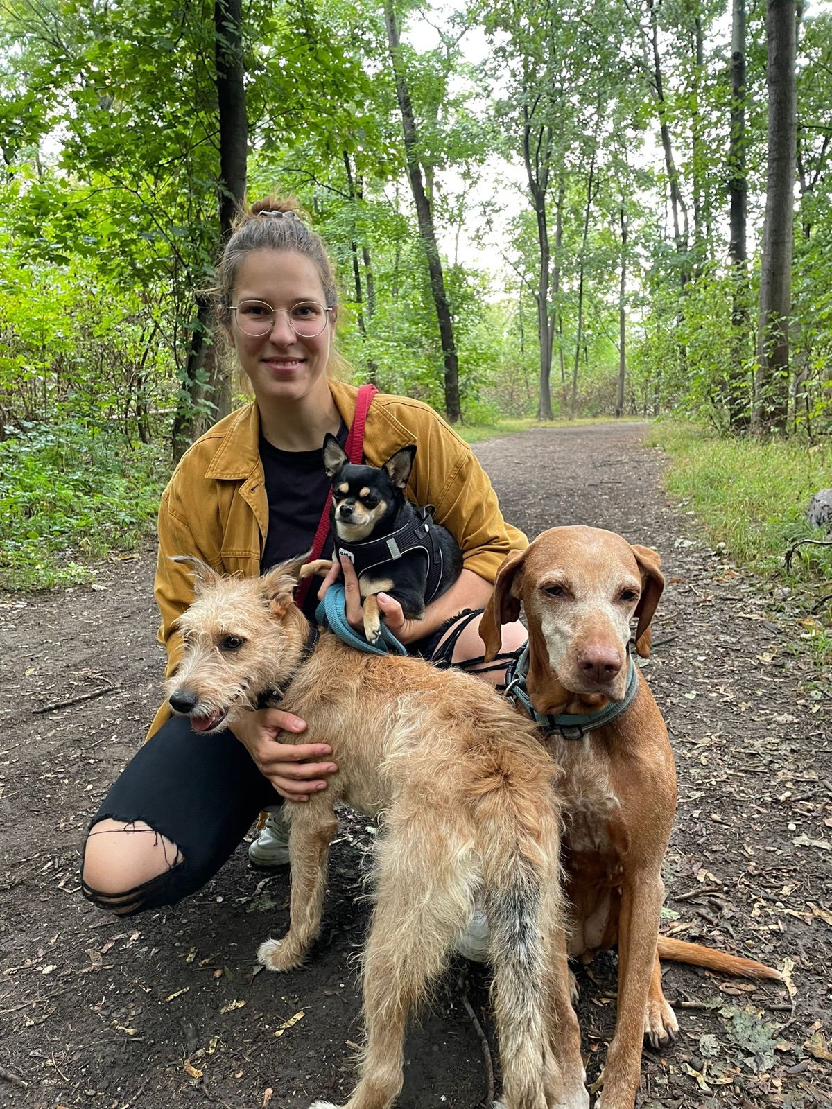 Hundecoach Lisa mit ihren Hunden bei einem Spaziergang im Wald